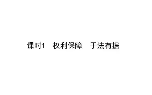 高中政治《法律与生活》PPT课件_统编版51