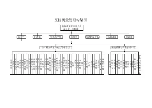 医院医疗质量管理体系图