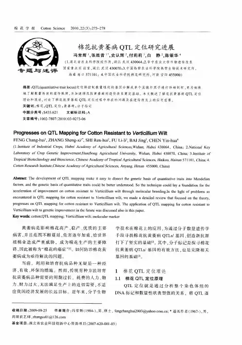棉花抗黄萎病QTL定位研究进展