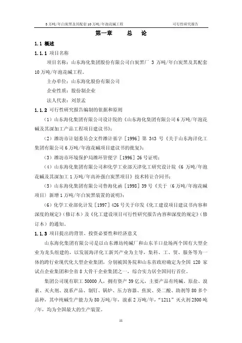 3万吨白炭黑10万吨泡花碱可研报告