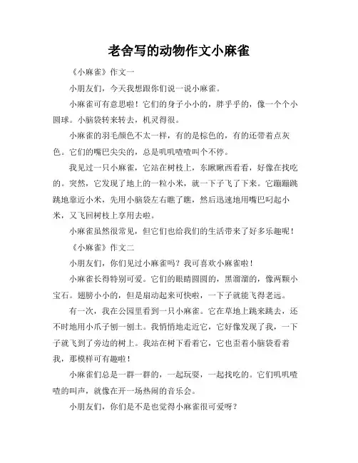 老舍写的动物作文小麻雀