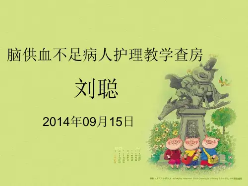 脑供血不足病人的护理查房PPT课件