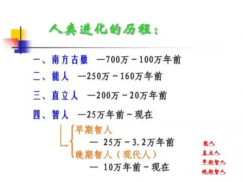 人类进化