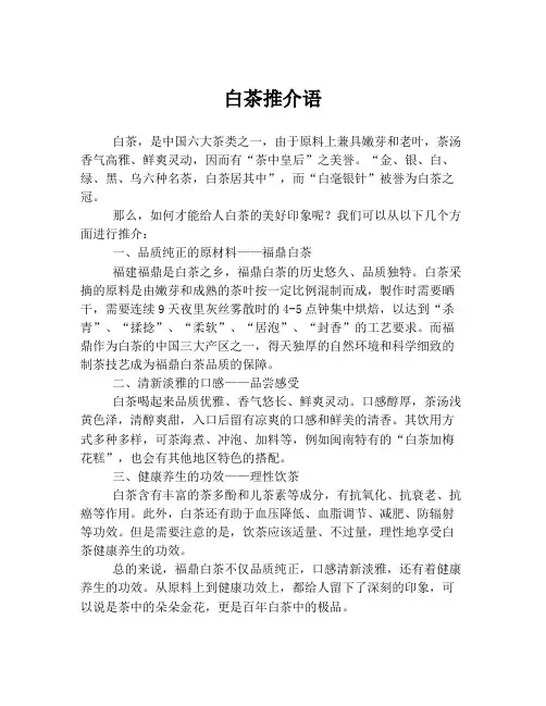 白茶推介语