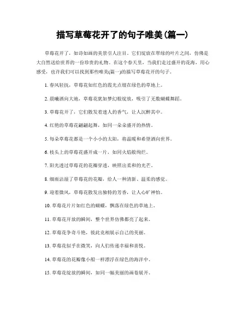 描写草莓花开了的句子唯美(精选两篇)