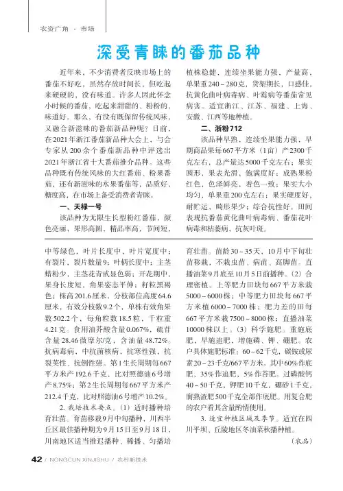 深受青睐的番茄品种