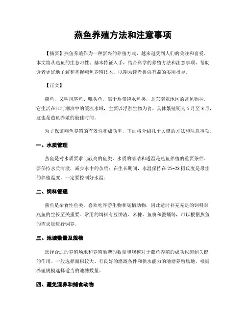 燕鱼养殖方法和注意事项