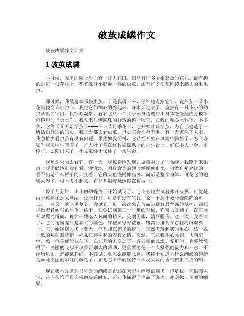 破茧成蝶作文