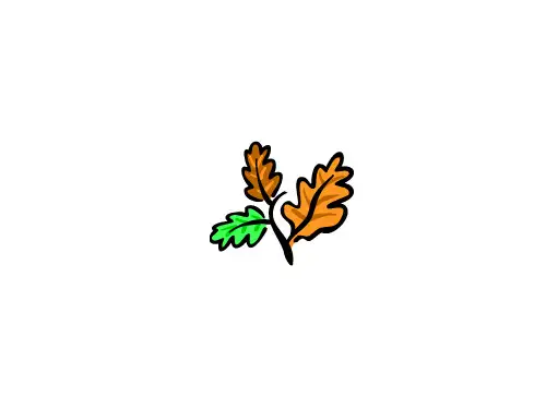 九年级化学石油和煤的综合利用(2019年11月)