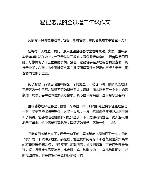 猫捉老鼠的全过程二年级作文