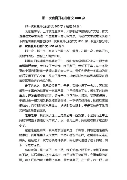 那一次我真开心的作文800字
