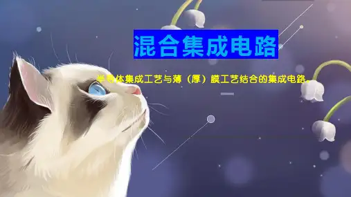 混合集成电路