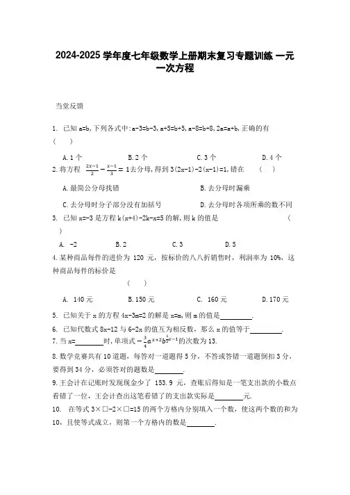 2024-2025学年度七年级数学上册期末复习专题训练 一元一次方程[含答案]