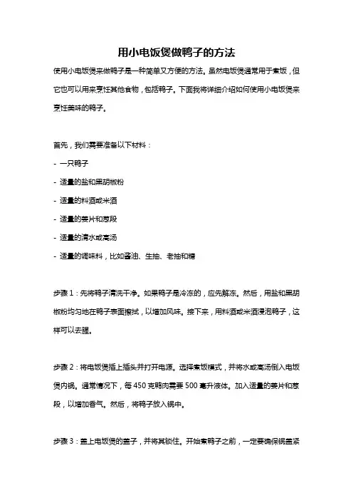 用小电饭煲做鸭子的方法