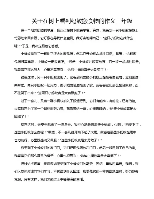 关于在树上看到蚂蚁搬食物的作文二年级