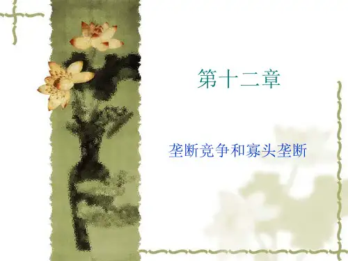 第十二章垄断竞争和寡头垄断-资料.ppt