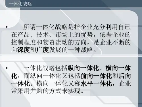 纵向一体化与横向