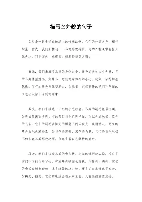 描写鸟外貌的句子