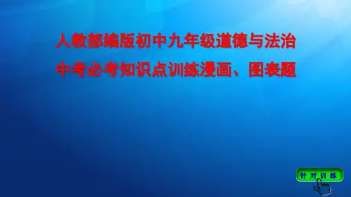 人教部编版初中九年级道德与法治中考必考知识点训练漫画、图表题PPT