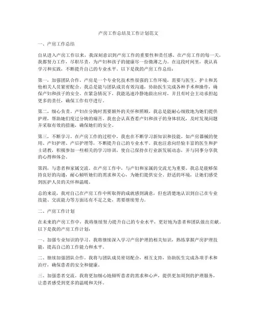 产房工作总结及工作计划范文