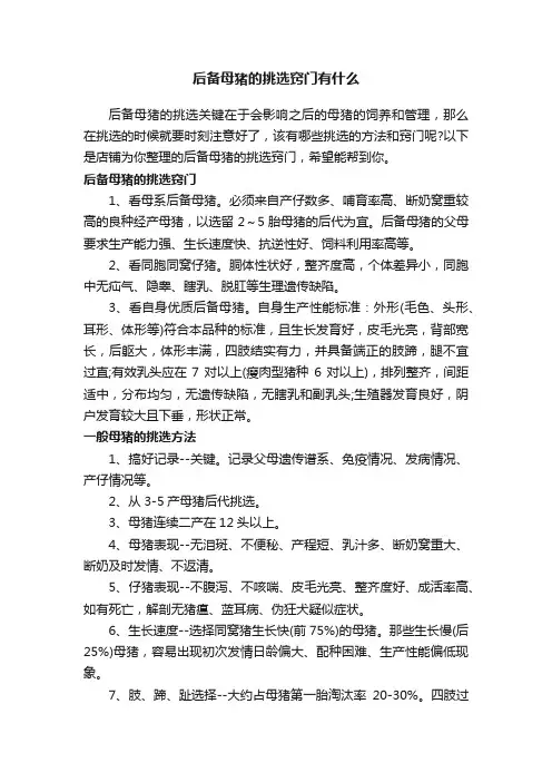 后备母猪的挑选窍门有什么