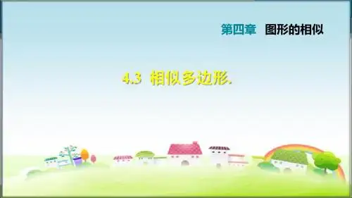 北师大版九年级数学上册4.3 相似多边形 (习题课件)【新版】