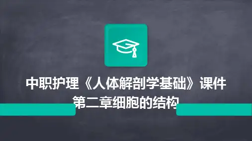 中职护理《人体解剖学基础》课件第二章细胞的结构