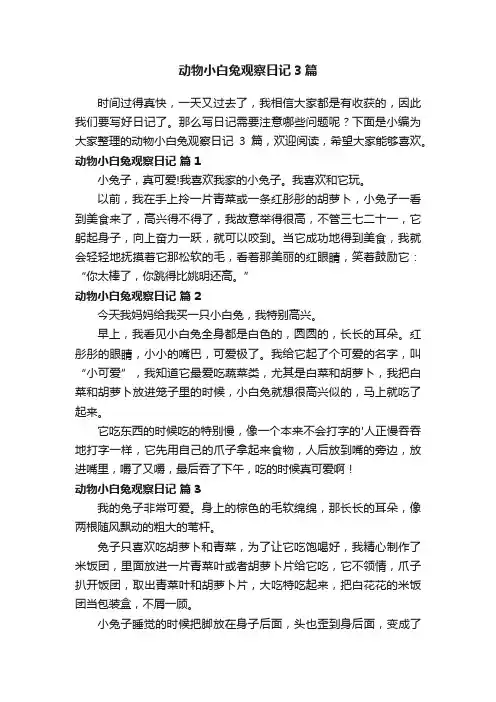 动物小白兔观察日记3篇