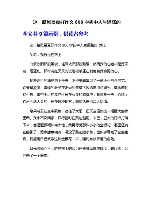 这一路风景真好作文800字初中人生道路的