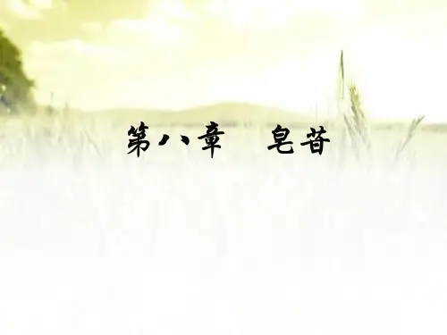 皂苷-PPT课件