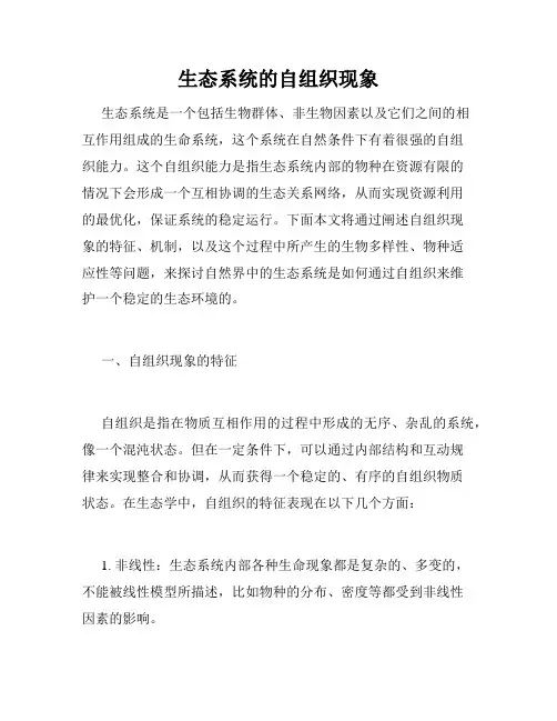生态系统的自组织现象