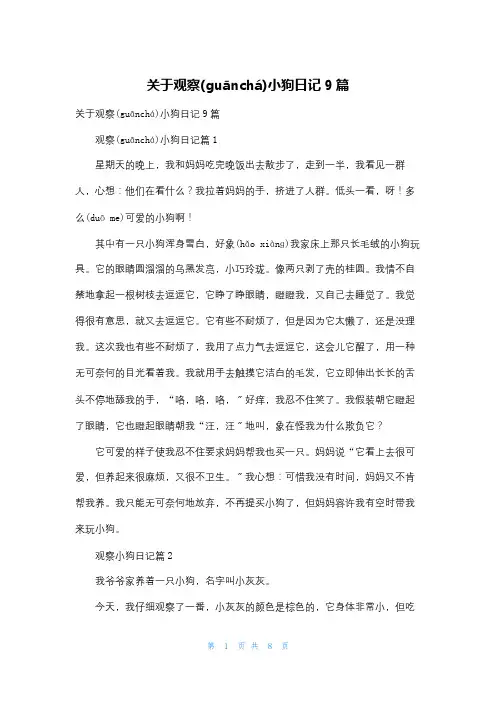 关于观察小狗日记9篇