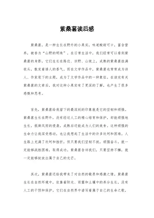 紫桑葚读后感