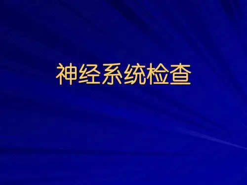 神经系统查体