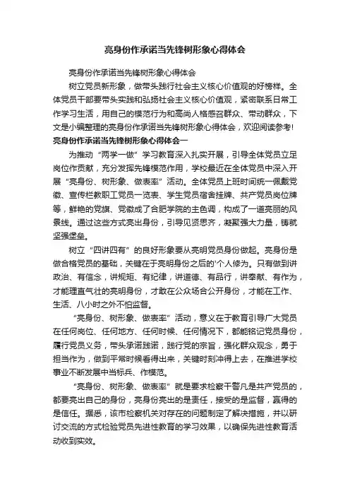 亮身份作承诺当先锋树形象心得体会