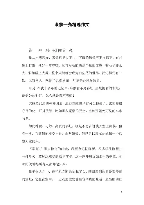 眼前一亮精选作文