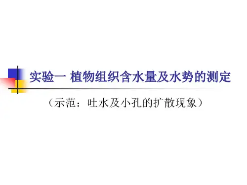 实验一、植物组织含水量及水势的测定