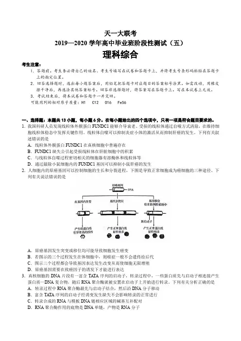 天一大联考2019-2020学年高中毕业班阶段性测试(五)理科综合试卷带答案