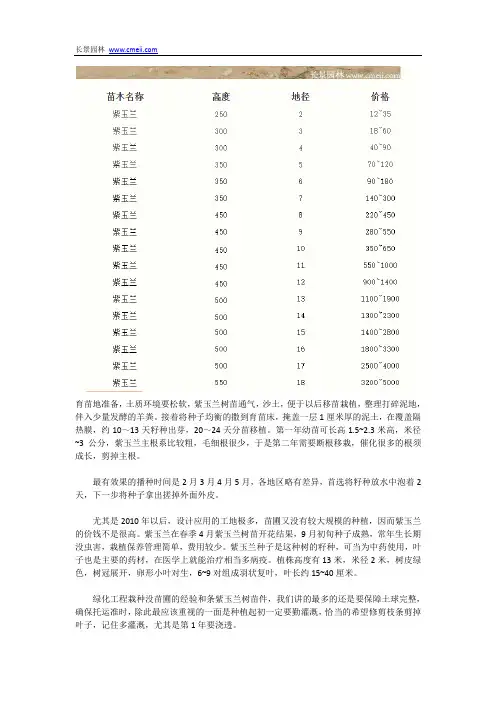 紫玉兰树苗
