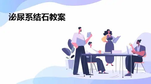 《泌尿系结石教案》课件