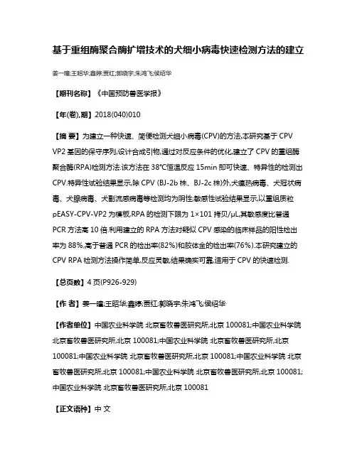 基于重组酶聚合酶扩增技术的犬细小病毒快速检测方法的建立