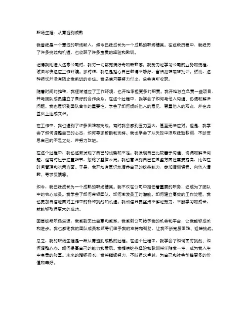 职场生涯,从青涩到成熟