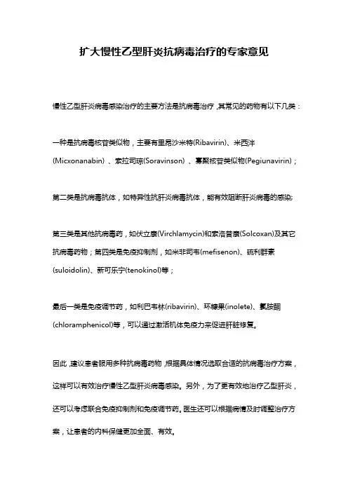 扩大慢性乙型肝炎抗病毒治疗的专家意见