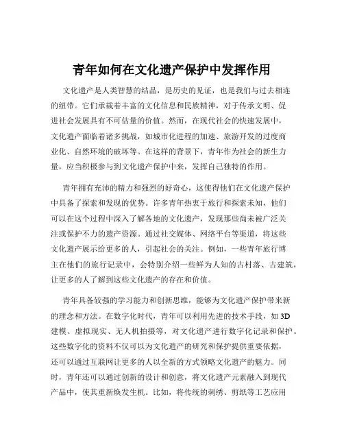青年如何在文化遗产保护中发挥作用
