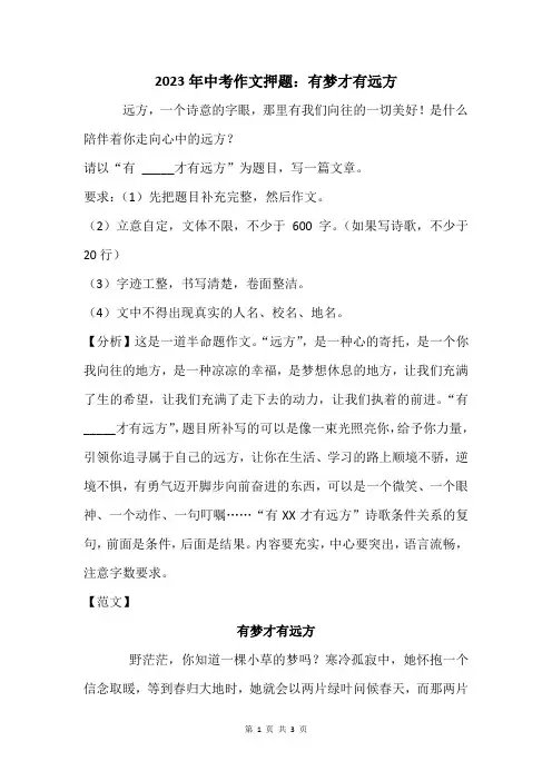 2023年中考作文押题：有梦才有远方