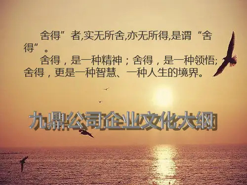某公司企业文化大纲(PPT 56页)