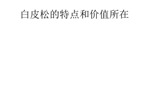 白皮松的特点和价值所在