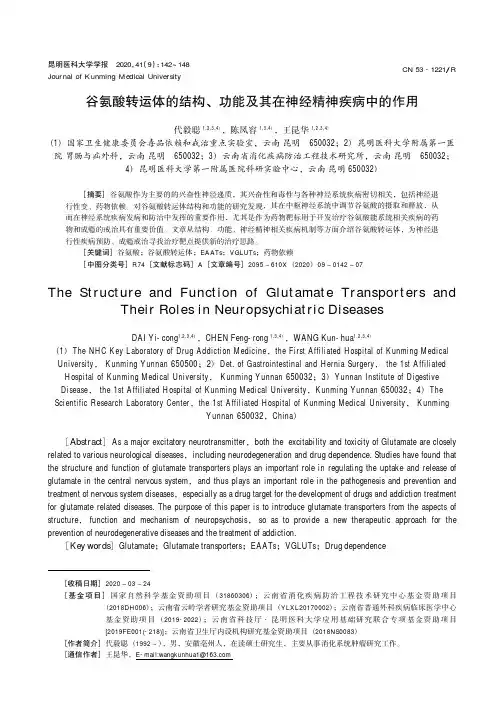 谷氨酸转运体的结构、功能及其在神经精神疾病中的作用