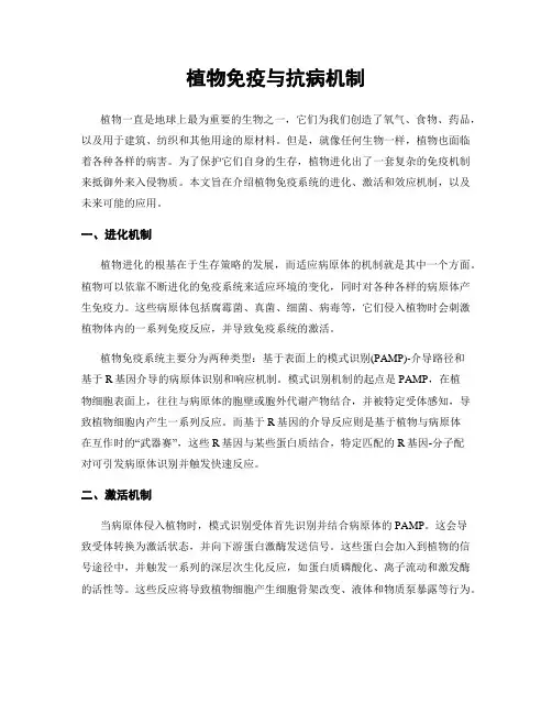 植物免疫与抗病机制