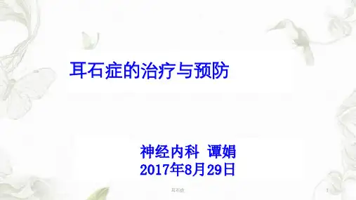 耳石症ppt课件